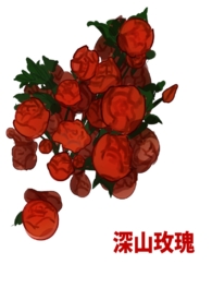 深山小村的真实故事